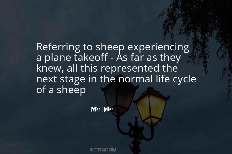 Sheep In Quotes #302656