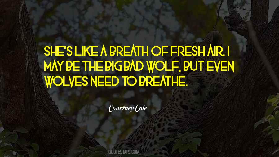Air To Breathe Quotes #743751