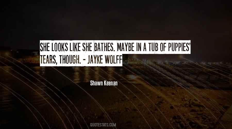 Jayke Wolff Quotes #827125