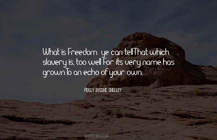 What Is Freedom Quotes #1357461