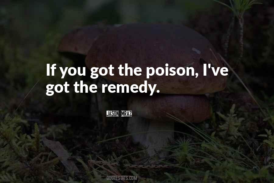 The Remedy Quotes #450736
