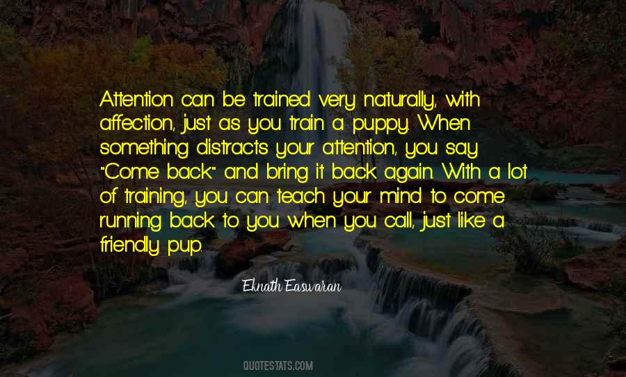 Back To Training Quotes #556183