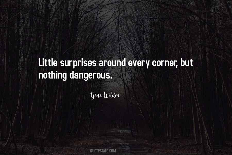 Little Surprises Quotes #917425