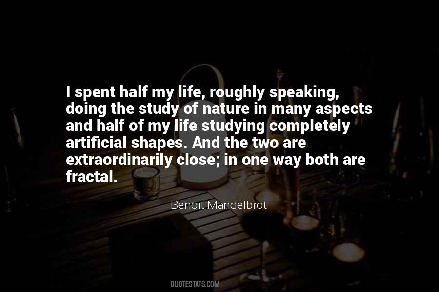Mandelbrot Fractal Quotes #761632