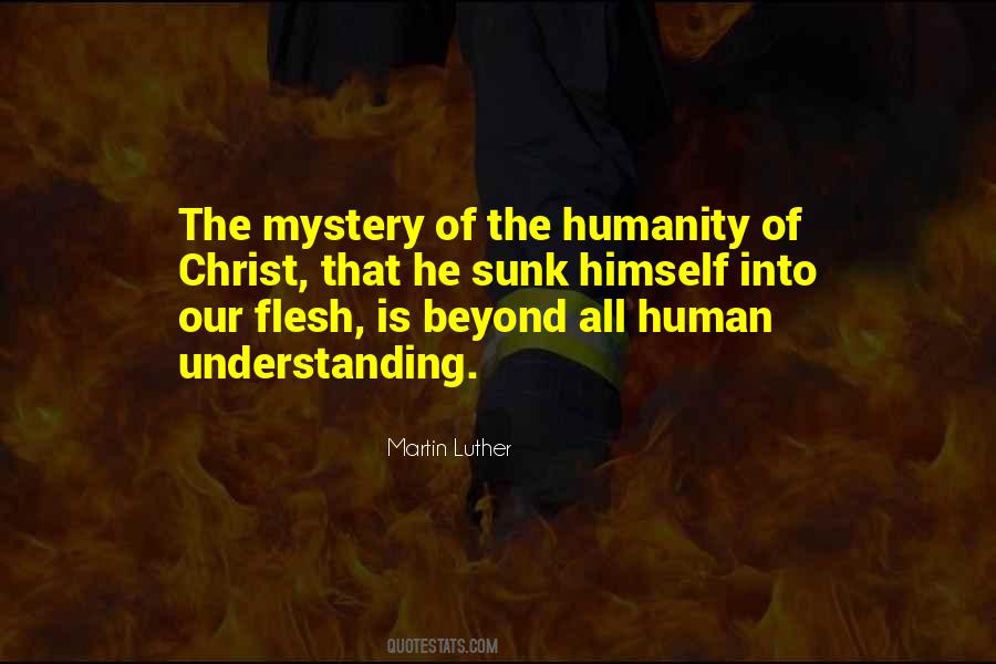 Human Understanding Quotes #1495286