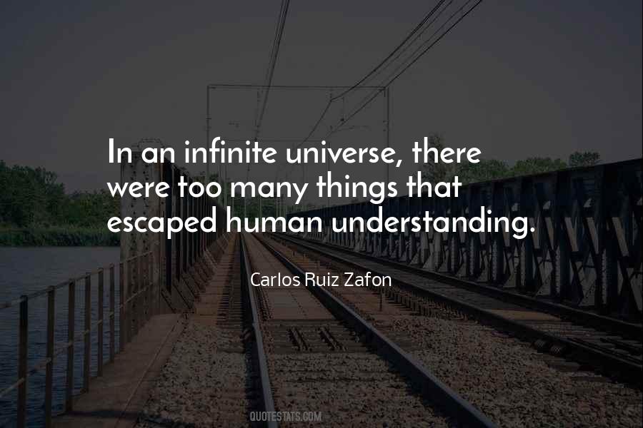Human Understanding Quotes #163915