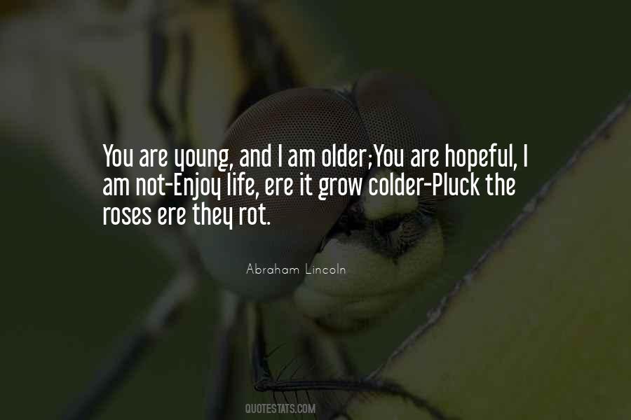 Life Abraham Lincoln Quotes #1677815