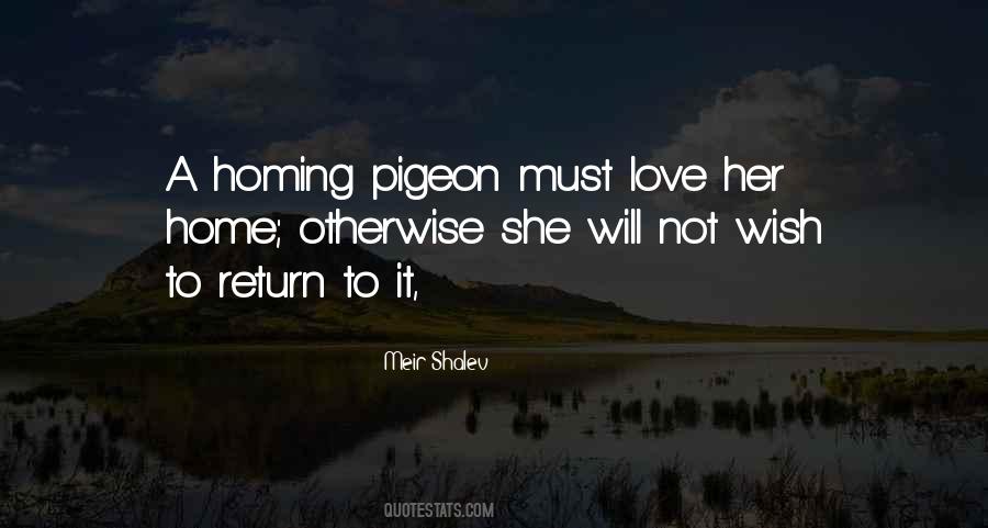 Love Pigeons Quotes #153966
