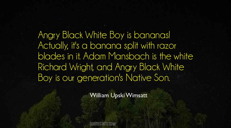 Quotes About Native Son #1606178