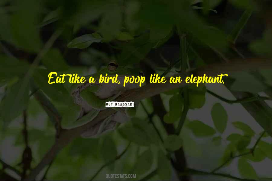 Alex The Lion Quotes #1074029