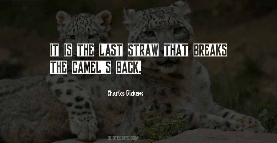That Was The Last Straw Quotes #1225891