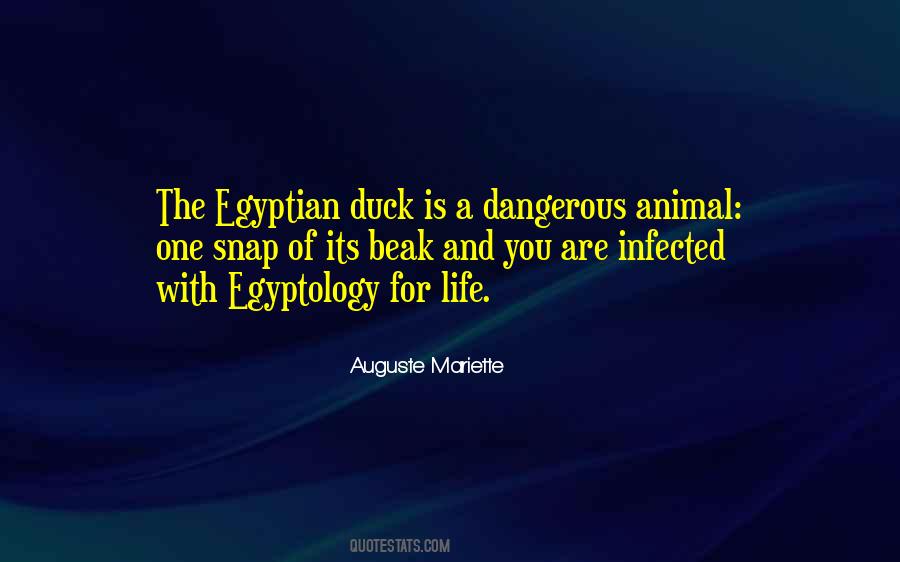 The Egyptian Quotes #278476