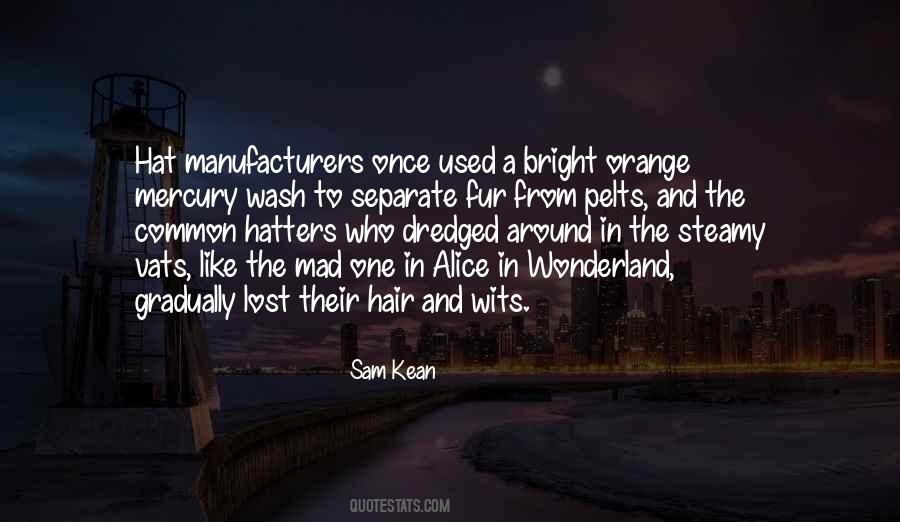 Alice In Quotes #1733828