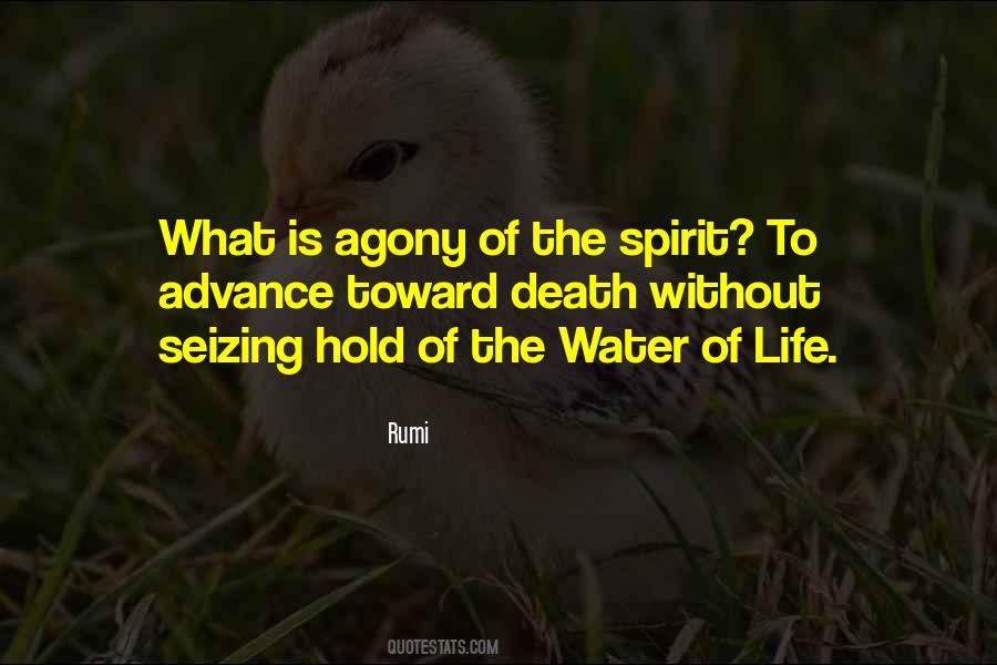 Water Of Life Quotes #980095