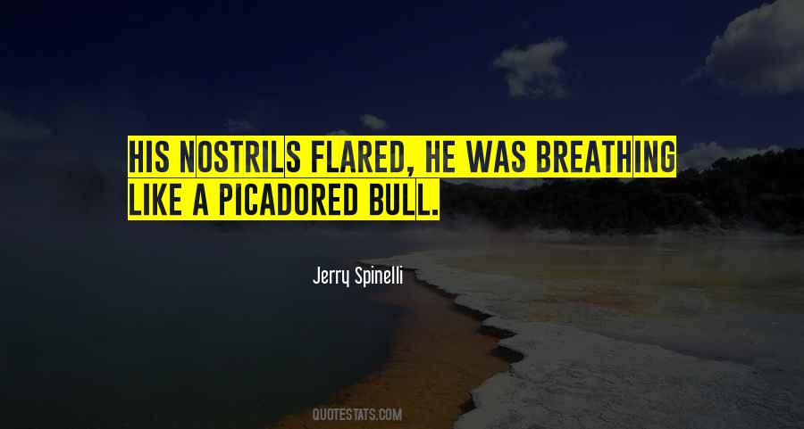 Picadored Bull Quotes #268000