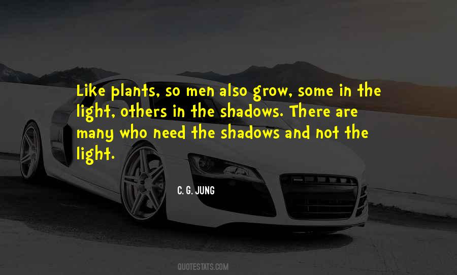 Light In The Shadows Quotes #144145