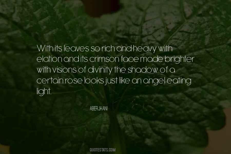 Light In The Shadows Quotes #992840