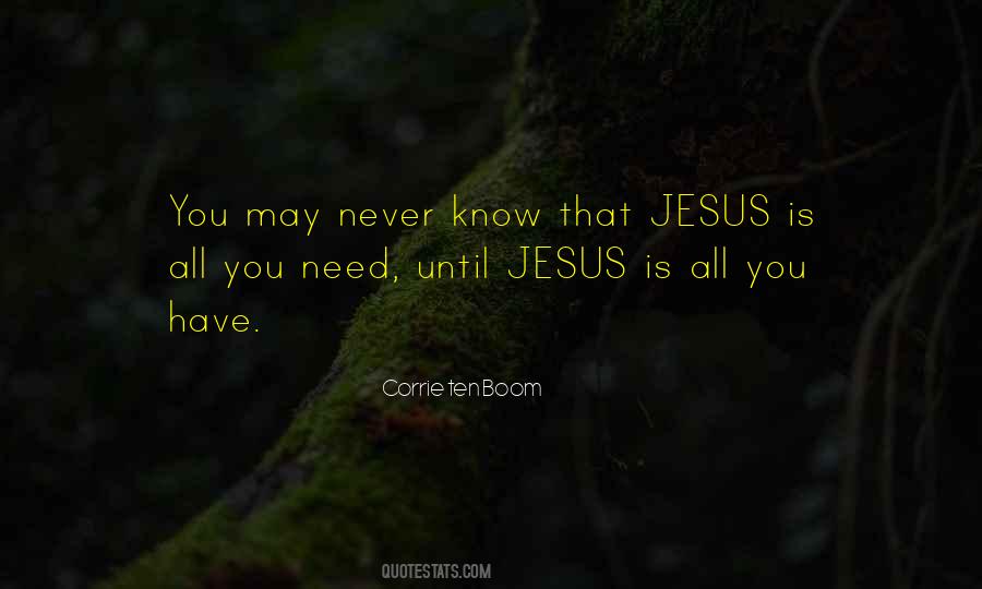 All I Need Is Jesus Quotes #53473