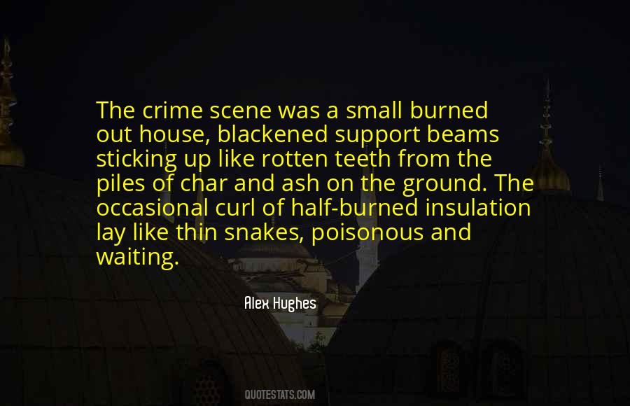 Mindspace Investigations Quotes #1801506