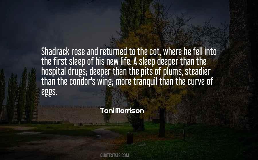 Shadrack In Sula Quotes #1029994