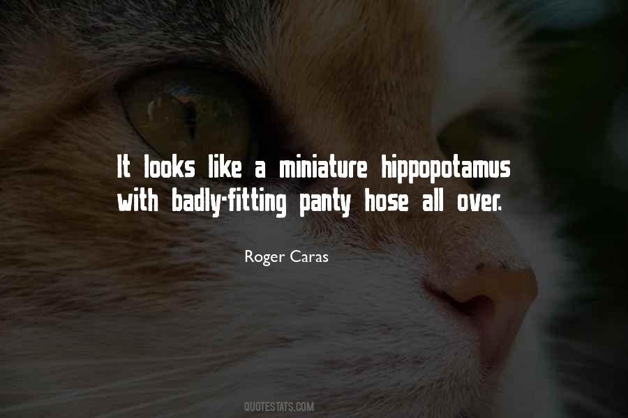 All Over It Like Quotes #332656