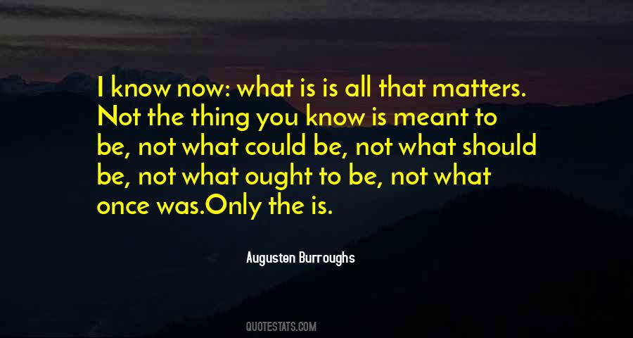 All That Matters Is Now Quotes #1686082