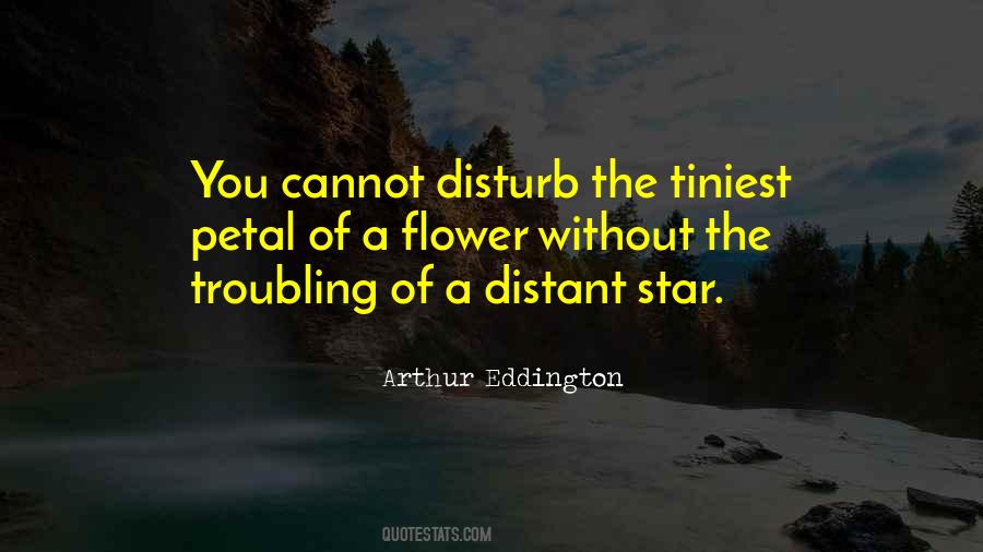 A Distant Star Quotes #456099