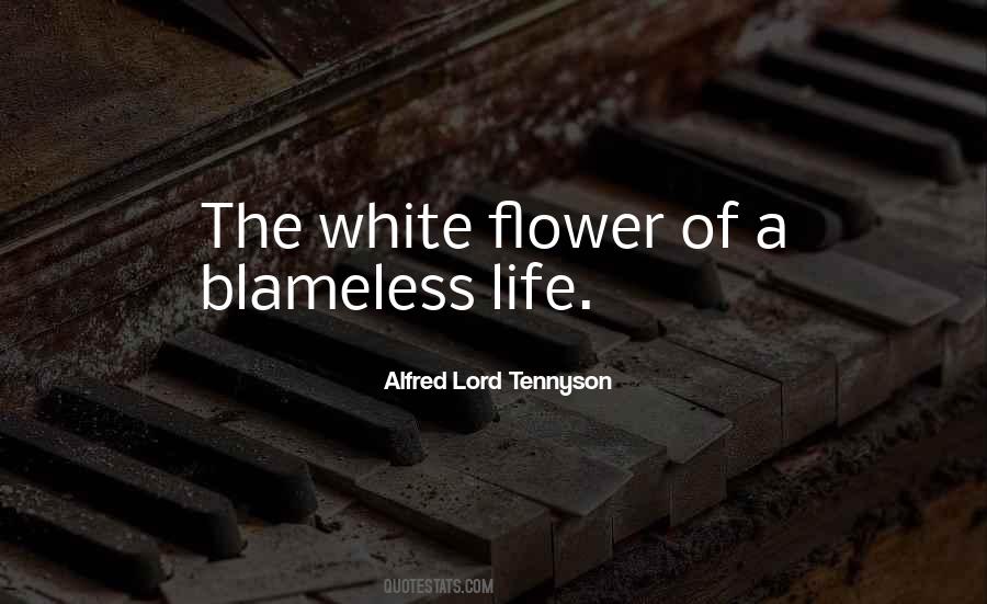 Thati Kallu Quotes #1796531