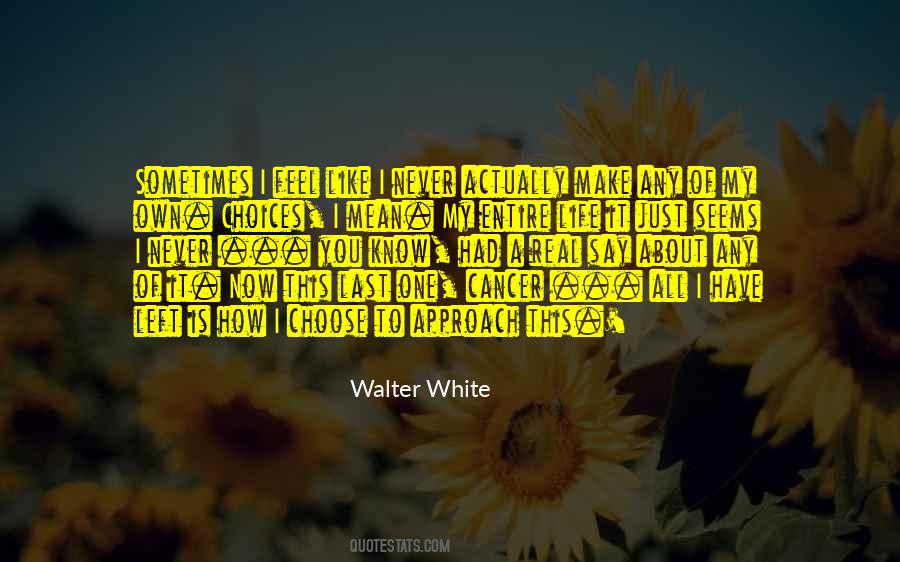 All Walter White Quotes #1869007
