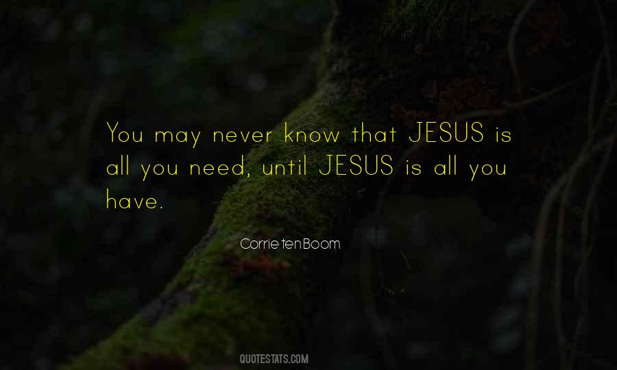 All You Need Is Jesus Quotes #53473