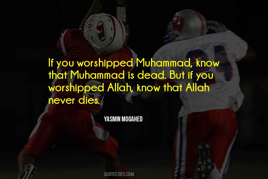 Allah Knows Quotes #542549