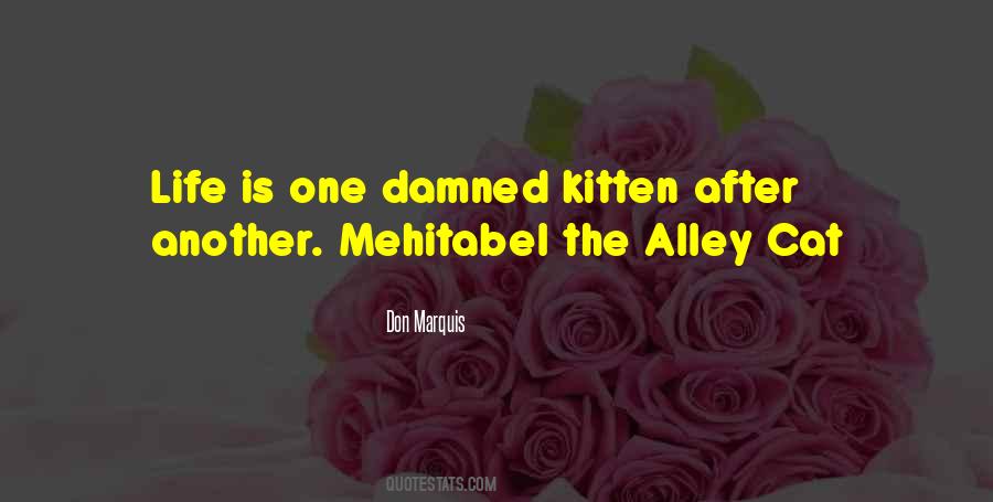Alley Cat Quotes #1728679