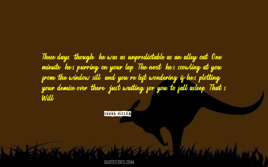 Alley Cat Quotes #1817099