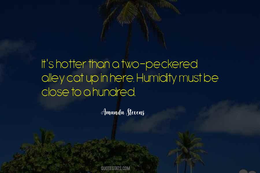 Alley Cat Quotes #1875773