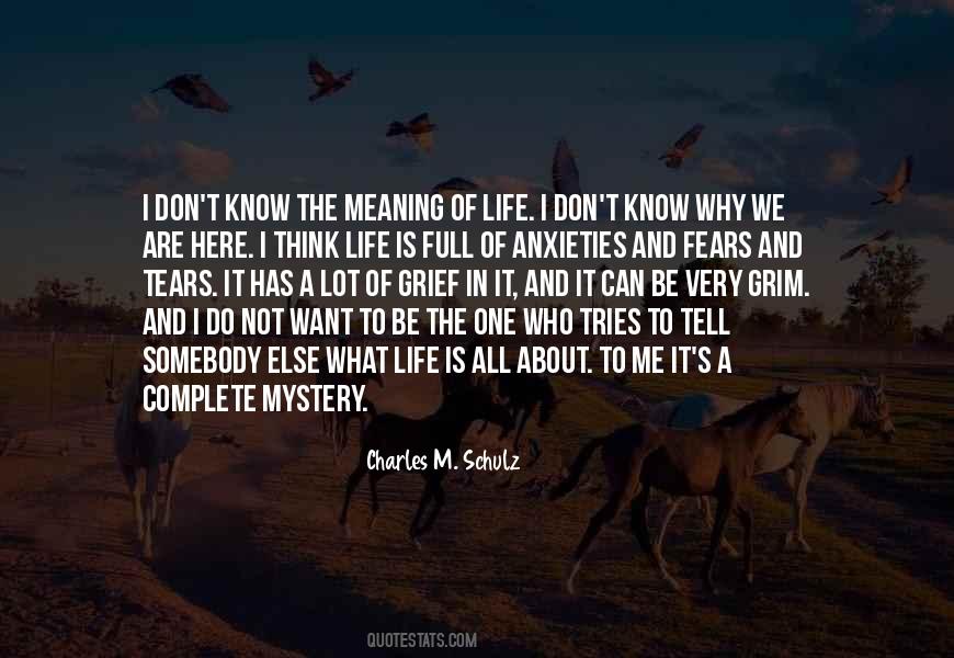 Quotes About Mystery In Life #687739