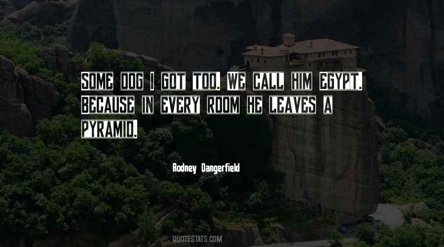 Allopathy Quotes #1068171