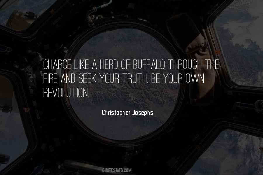 Poetry And Truth Quotes #893150