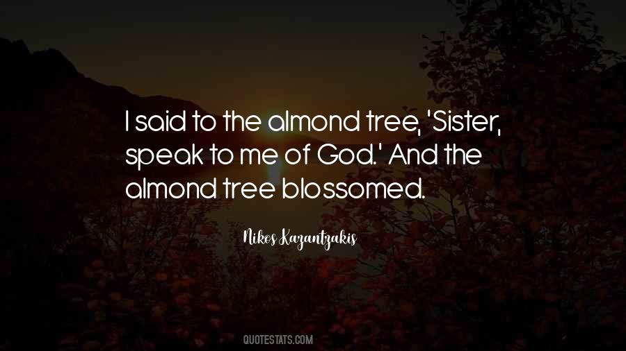 Almond Quotes #1519381