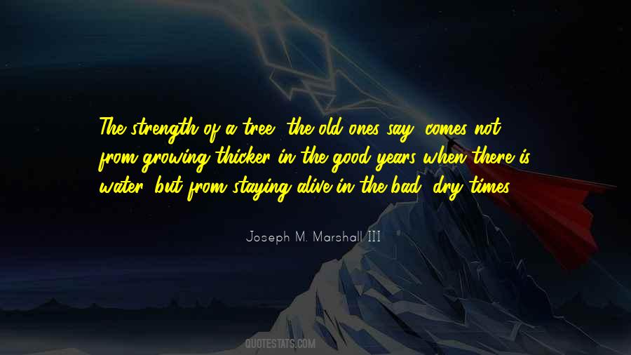 Quotes About Thicker #1122017