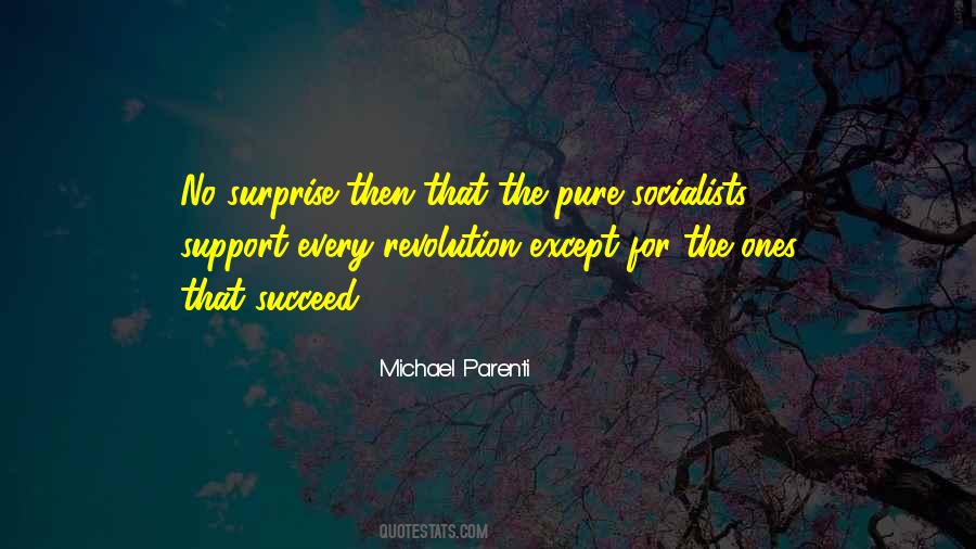 Revolution Socialism Quotes #520638