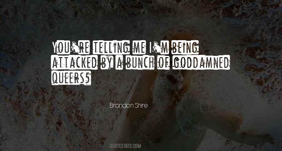 Quiet Lies Quotes #1825250