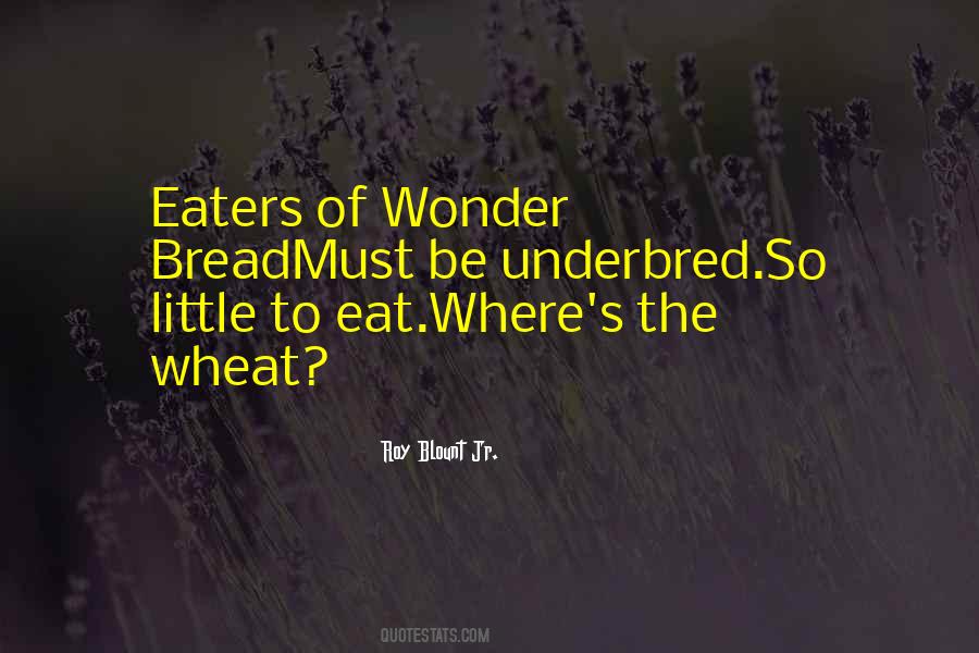 To The Wonder Quotes #26492