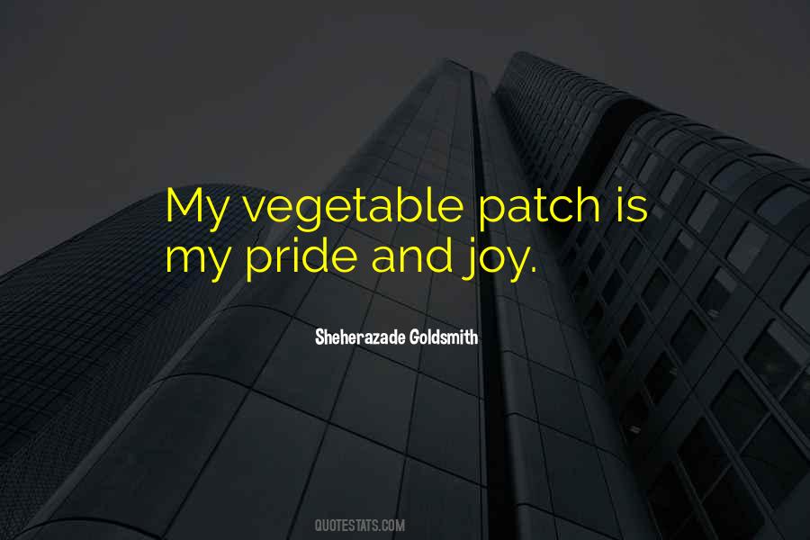 Quotes About My Pride #1111033