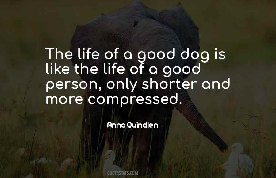 Good Dog Quotes #1513712