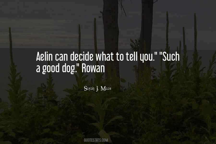 Good Dog Quotes #369940