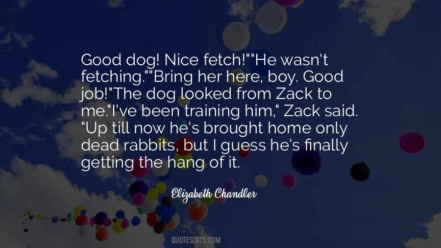 Good Dog Quotes #968304