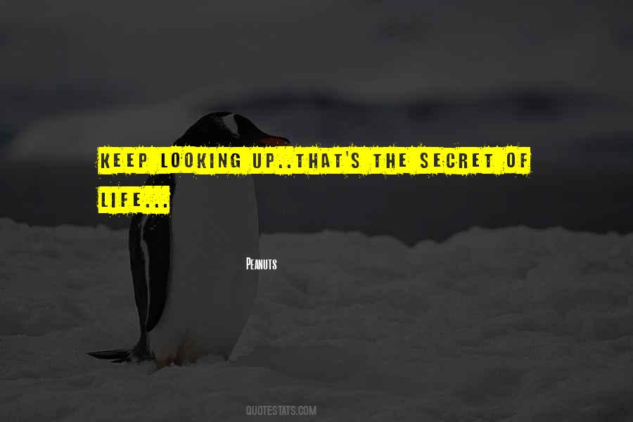 Keep Looking Quotes #1840970