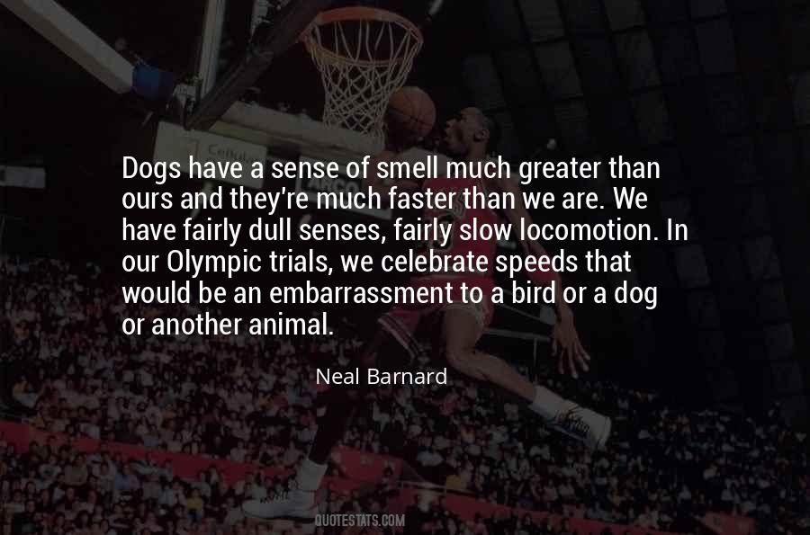 Animal Sense Quotes #1379885