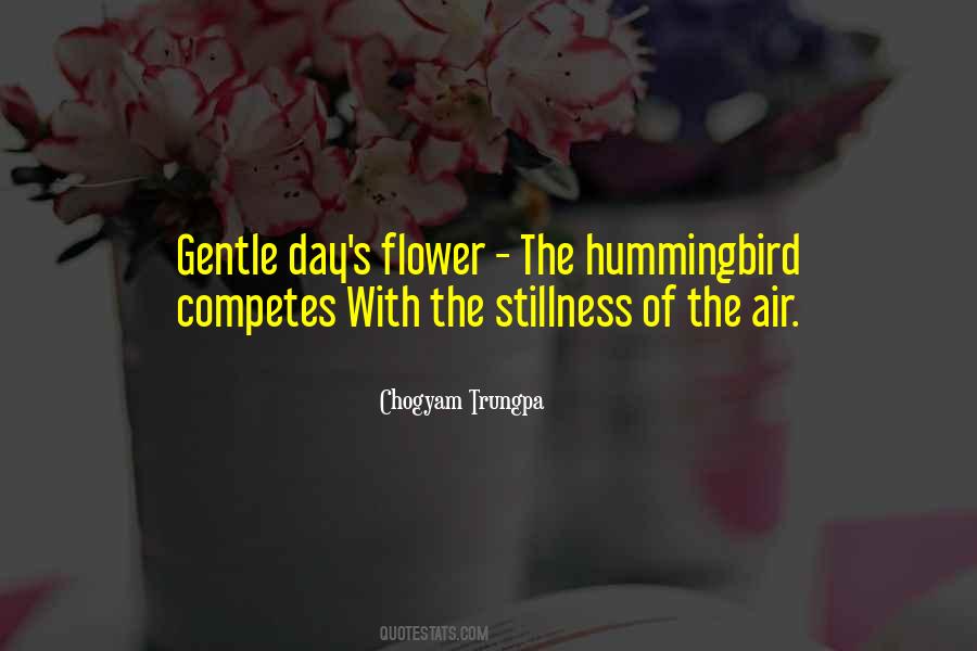 The Hummingbird Quotes #292102