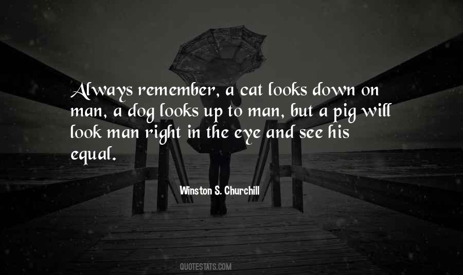 Always Look Down Quotes #1621097